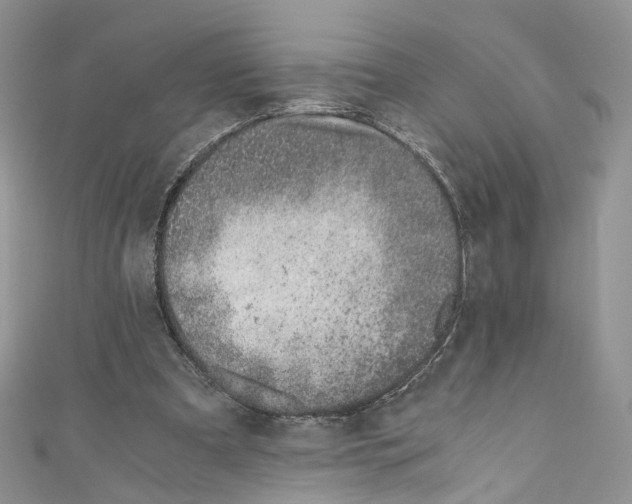 X0000110670297200907241028