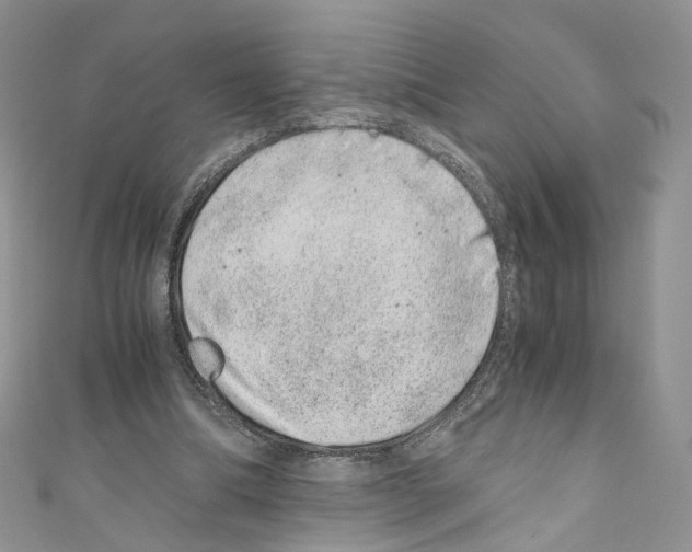X0000110670298200907241028
