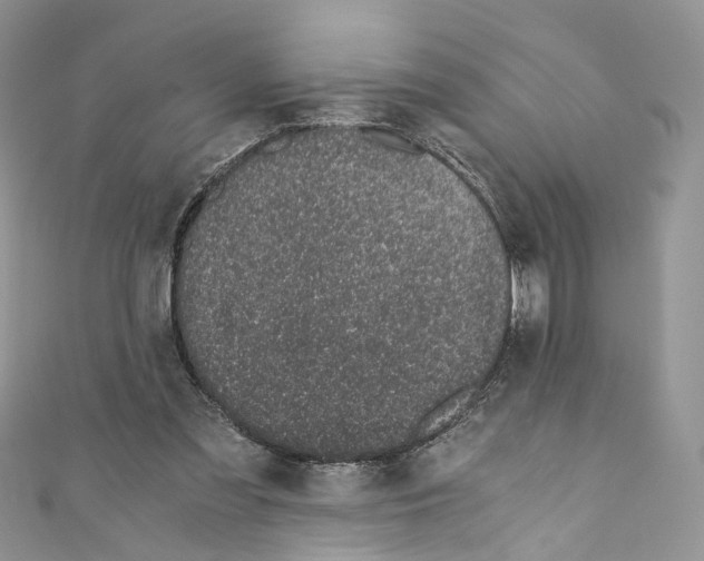 X0000110670301200907241028