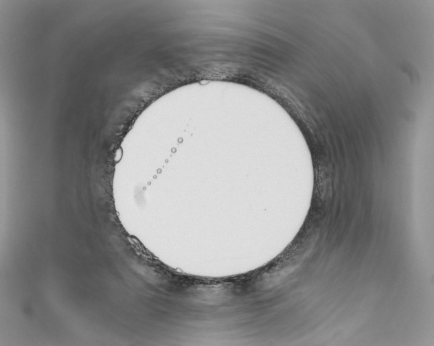 X0000110670307200907241028
