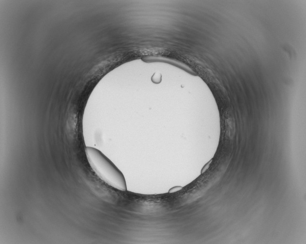 X0000110670308200907241028