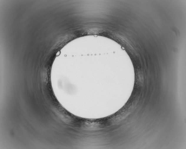 X0000110670311200907241028