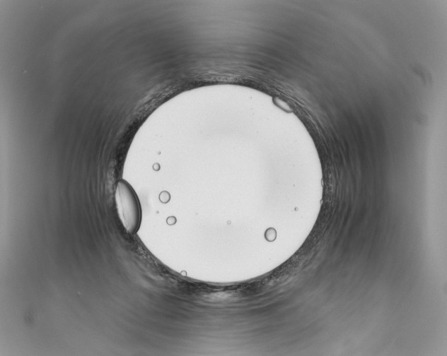 X0000110670312200907241028