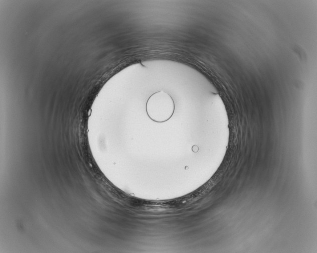 X0000110670316200907241028