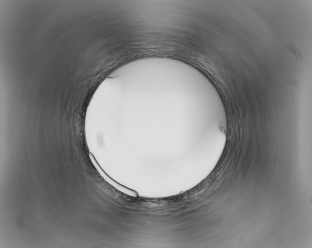 X0000110670317200907241028