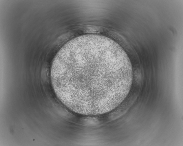 X0000110670322200907241028