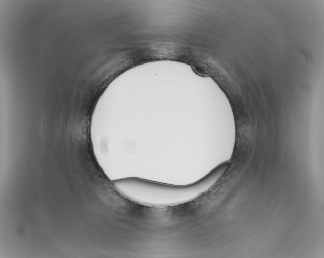 X0000110670325200907241028