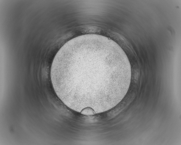 X0000110670326200907241028