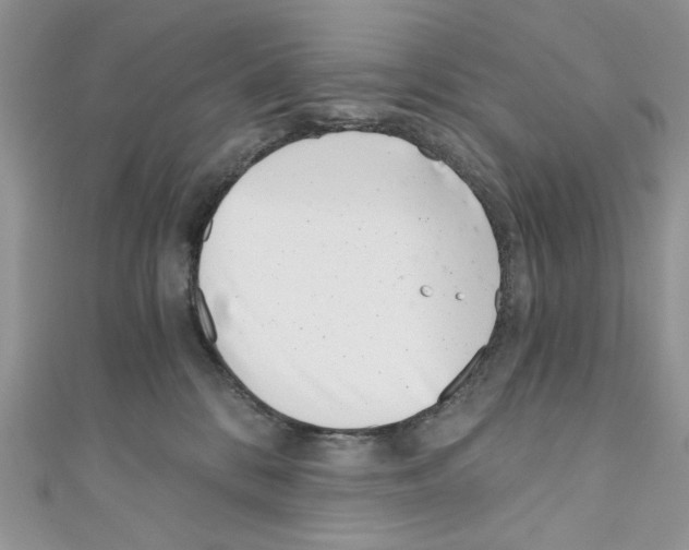 X0000110670328200907241028
