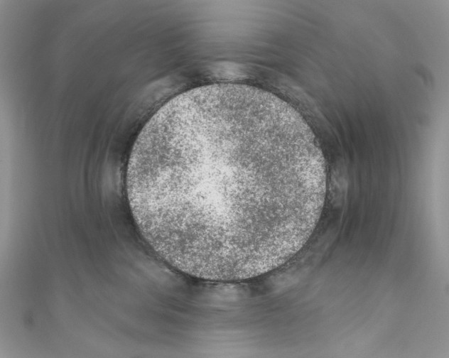 X0000110670330200907241028