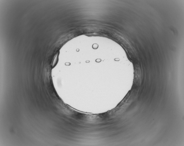 X0000110670333200907241027