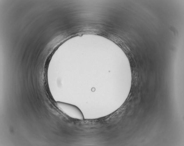 X0000110670338200907241027