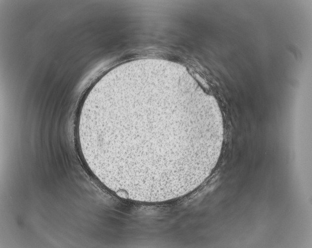 X0000110670341200907241027