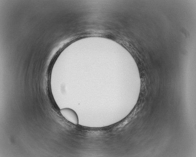 X0000110670342200907241027