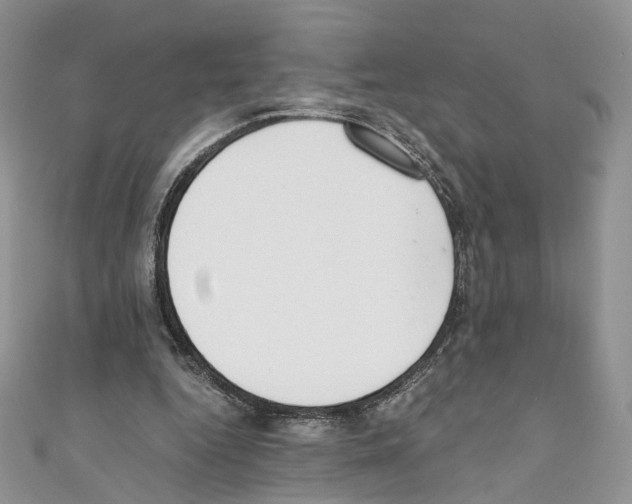 X0000110670344200907241027