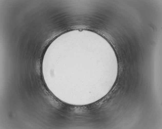 X0000110670345200907241027