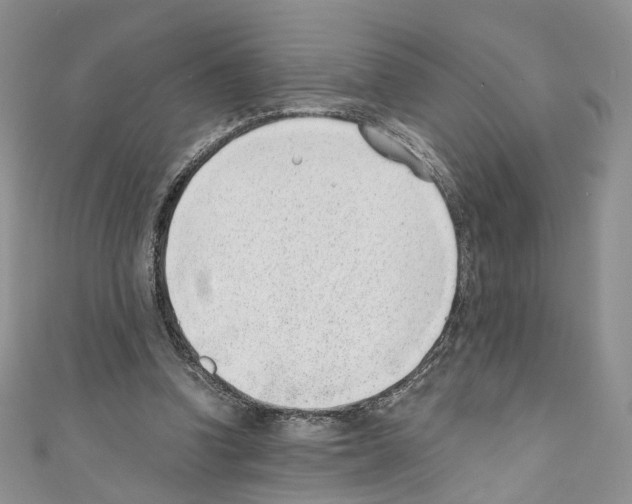 X0000110670346200907241027