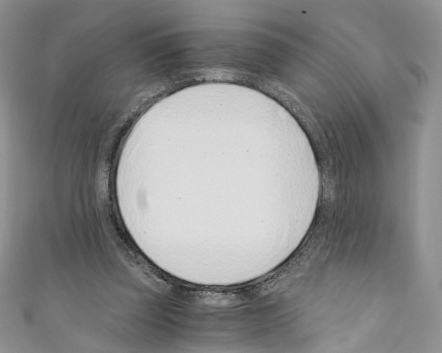 X0000110670347200907241027
