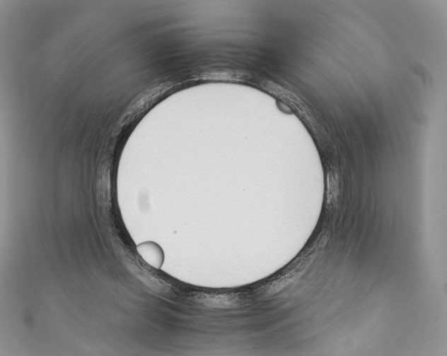 X0000110670349200907241027