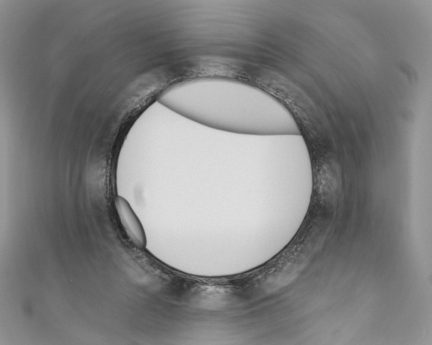 X0000110670352200907241027