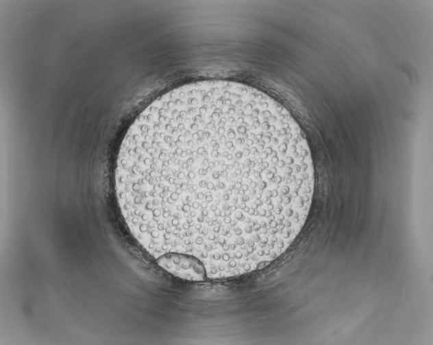 X0000110670354200907241027