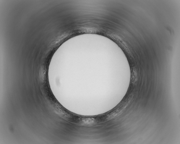 X0000110670355200907241027
