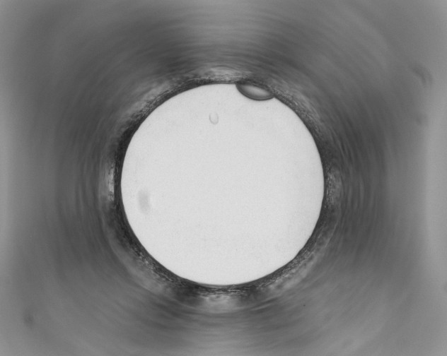 X0000110670358200907241027