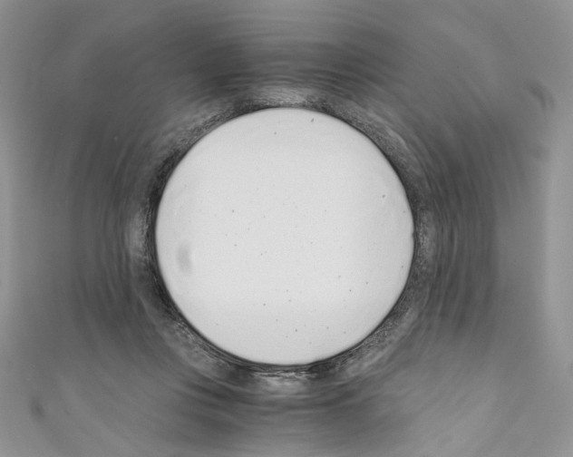 X0000110670359200907241027