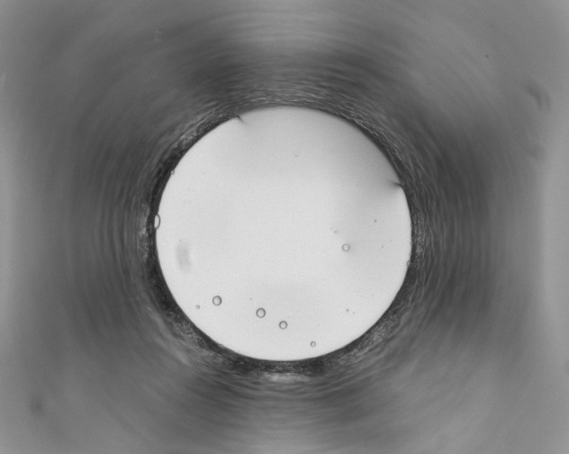 X0000110670360200907241027