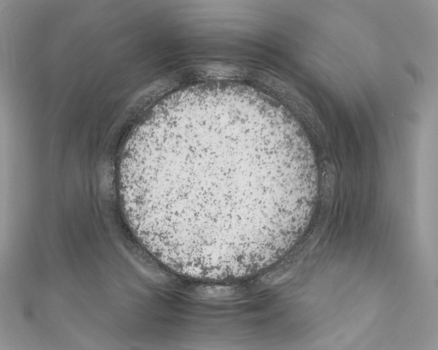 X0000110670361200907241027