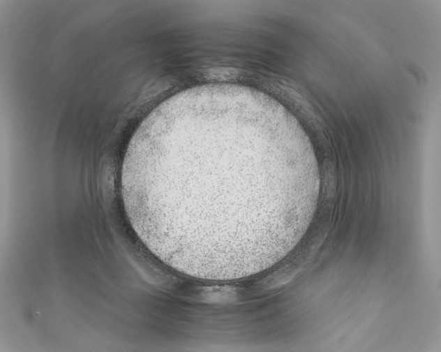 X0000110670363200907241027