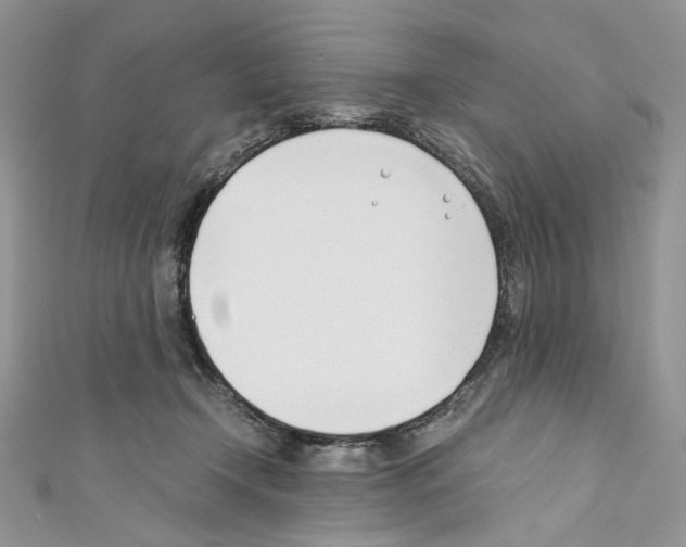 X0000110670366200907241027