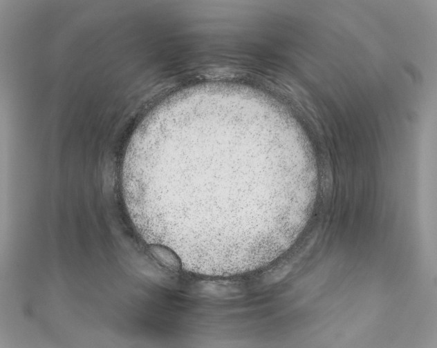X0000110670367200907241027