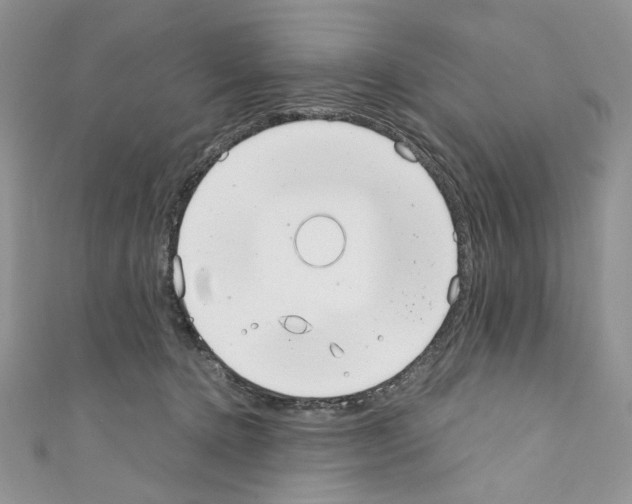 X0000110670368200907241027