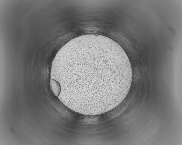 X0000110670369200907241027