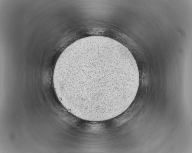 X0000110670370200907241027