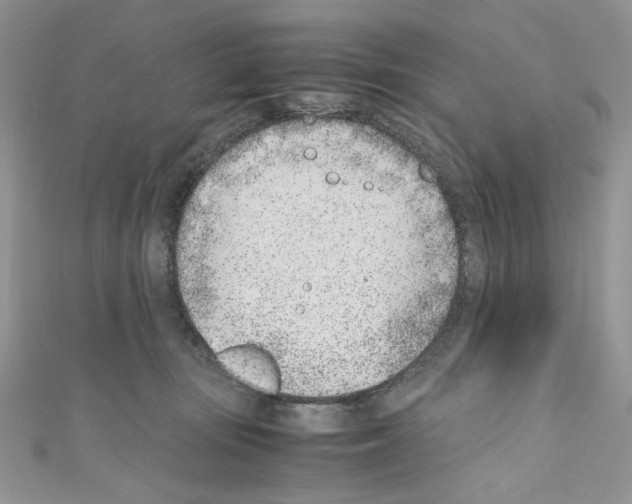 X0000110670371200907241027