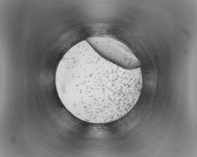 X0000110670372200907241027