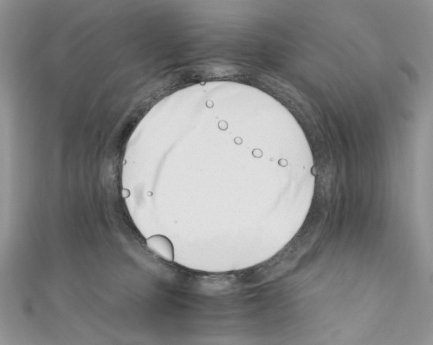 X0000110670373200907241027