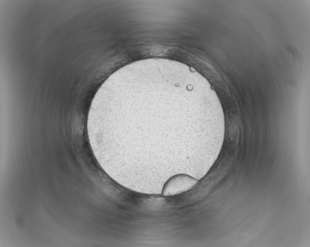 X0000110670374200907241027