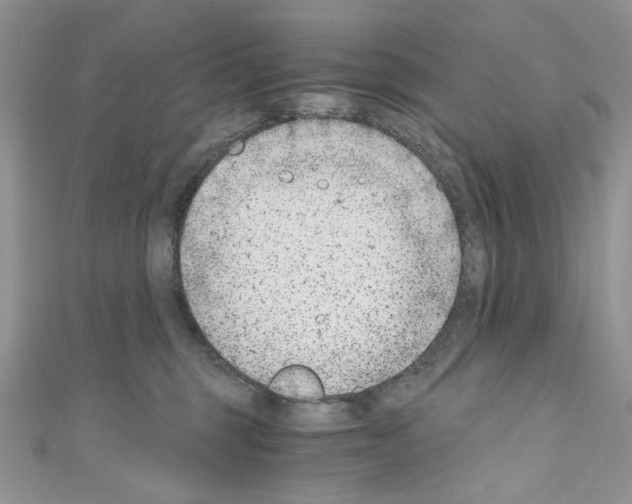 X0000110670375200907241027