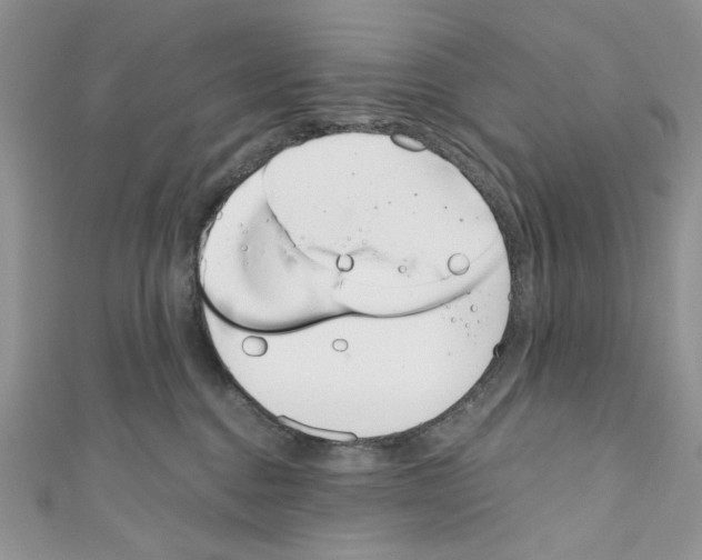 X0000110670376200907241027