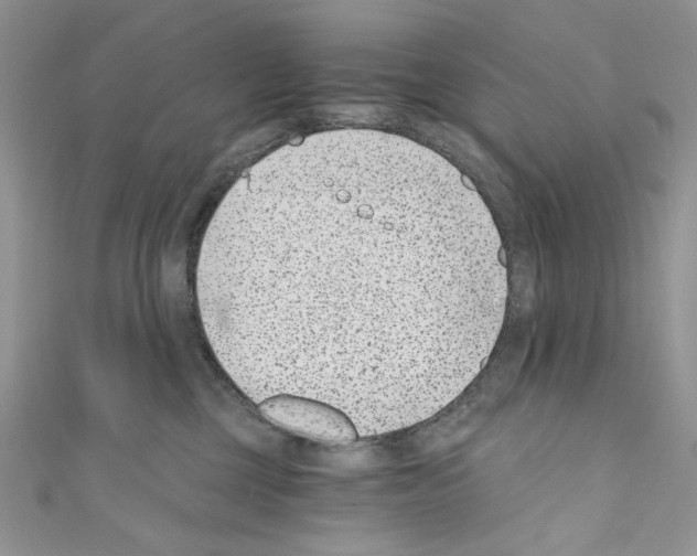 X0000110670377200907241027