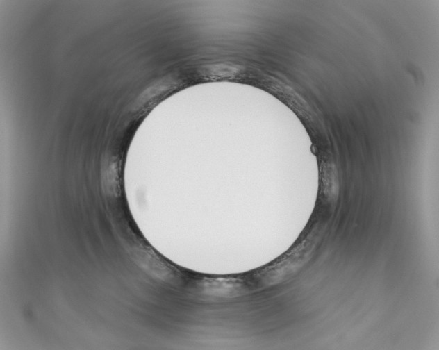 X0000110670378200907241027