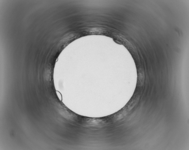 X0000110670379200907241027