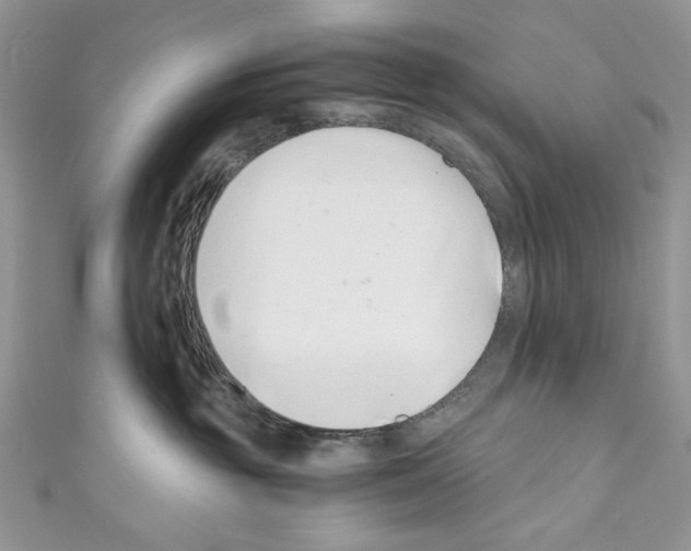 X0000110670381200907241027