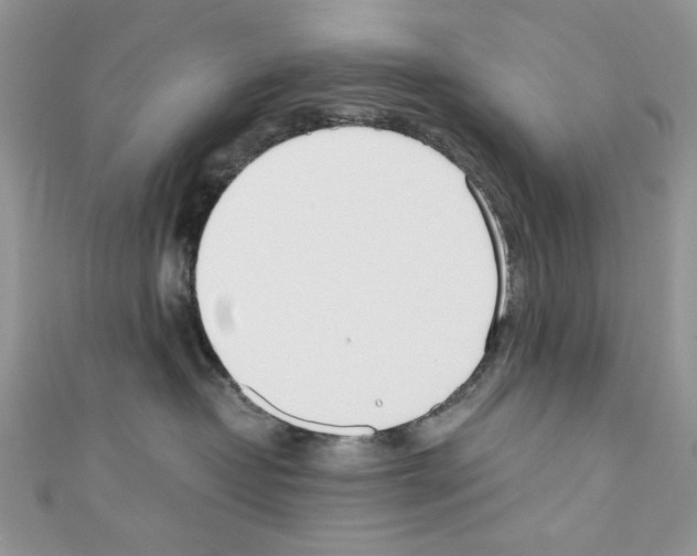X0000110670382200907241027