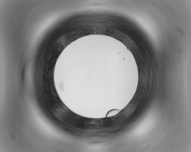 X0000110670383200907241027
