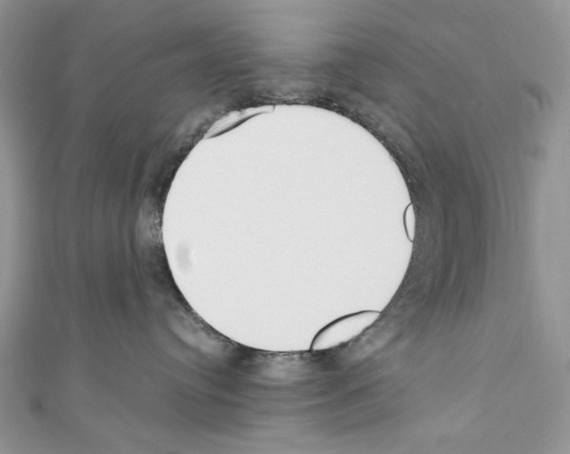X0000110670384200907241027