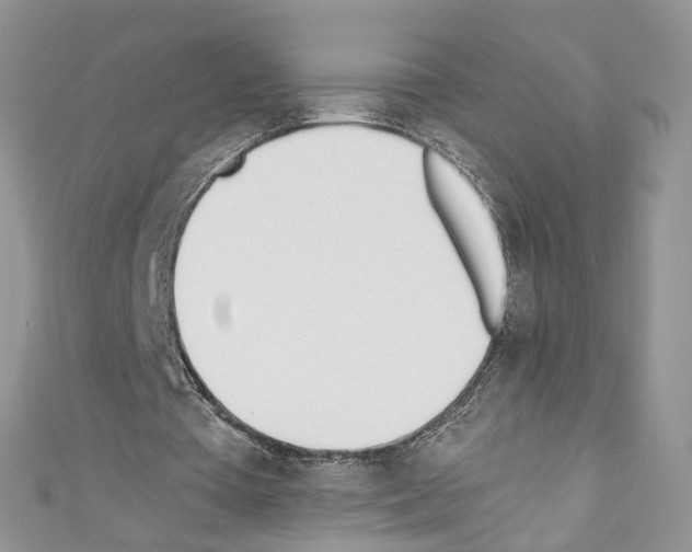 X0000110670385200907241027